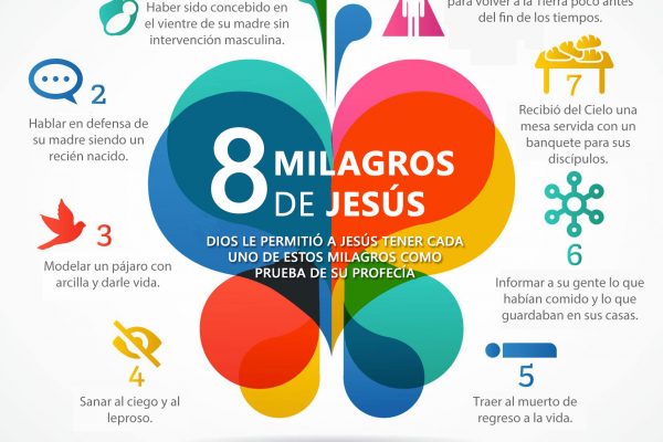 8 miracles
