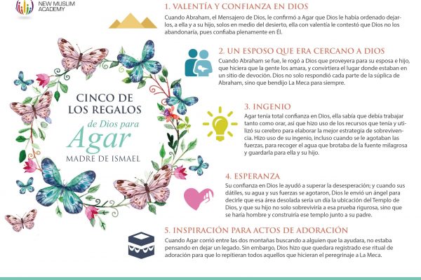 Hagar infografia.